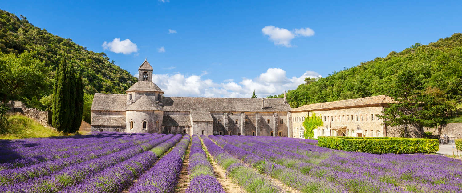 An abbey in summer surrounded by purple flowers.