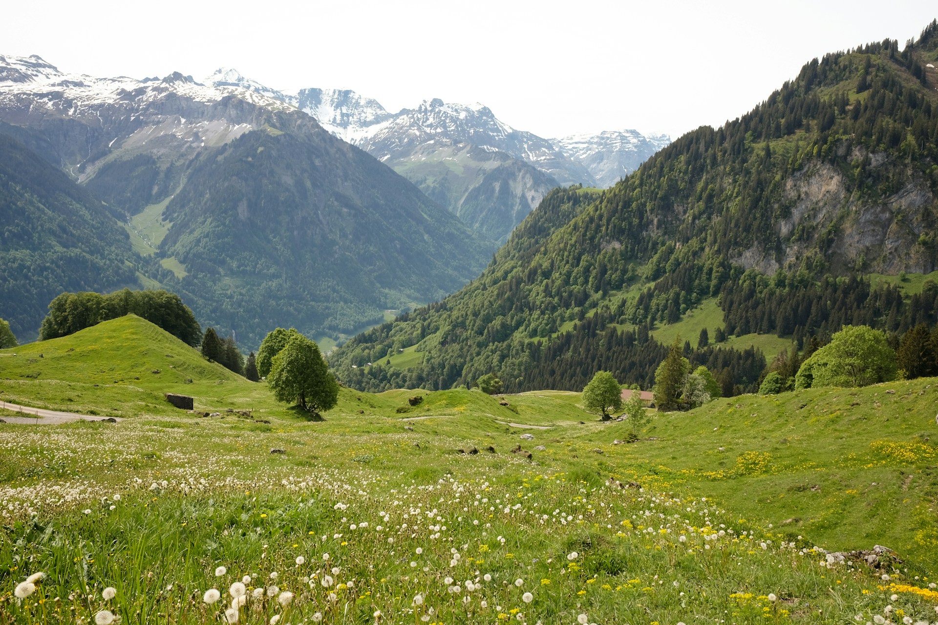 Alpine valley in summer.